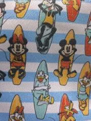 プルメリアの画像