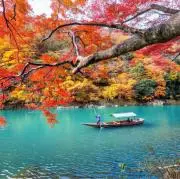 トモくんの画像