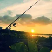 オタ