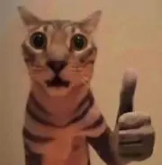 ねこつん※プロフ見てくれると嬉しいですの画像