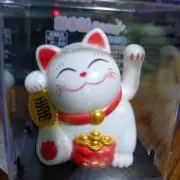 やっちゃんの画像