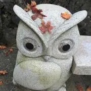 kapiの画像