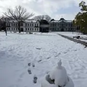 shiratamaの画像