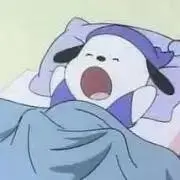 ぽちゃこの画像
