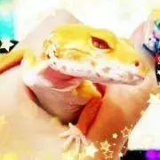 KUREA♡の画像
