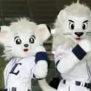 じん