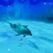 ぁゃの画像