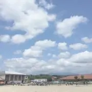 しゃきの画像