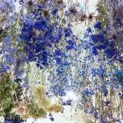 yuhiの画像