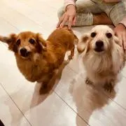 ちびママ