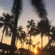 KKの画像