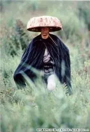 KogarashinoMの画像