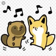 モカちゃんの画像