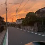 マヨの画像