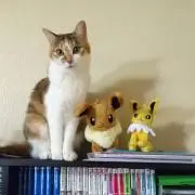 ふわっとの画像