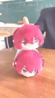 ちょこの画像
