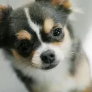 ひろ