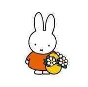 momoの画像