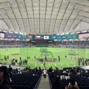 KSの画像