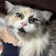 KIM'sの画像