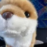 きんぐ⚠️お休み中⚠️の画像