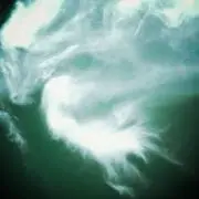 ポンタママ