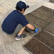 みやぎのお米農家の画像