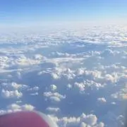 ⭐︎プロフ必読お願い致します⭐︎Ayuの画像