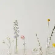 こあら★の画像