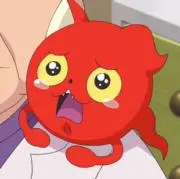 ぽむの画像