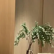 24の画像