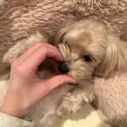 mmiの画像
