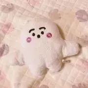 ぽんたの画像