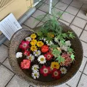 モカの画像