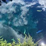 高髭の画像