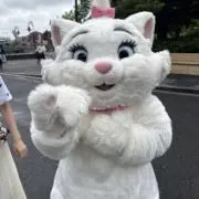 yuuuの画像