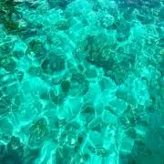 断捨離の画像