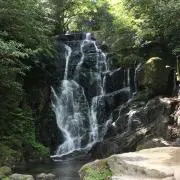 Toku@@の画像