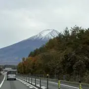アップルパイの画像