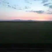 ひじきの画像