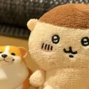 Chacoの画像