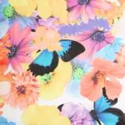 ♥BIJIN♥プロフィ必読⚠︎の画像