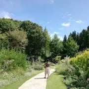 はたの画像
