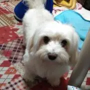 まぁちゃんの画像