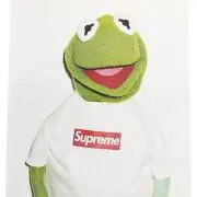 未来