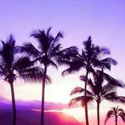 ゆちゅの画像