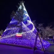みょーーんの画像