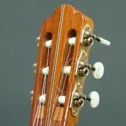 のぼんちやんの画像