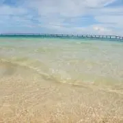 hotate_mihoの画像