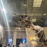 なのの画像